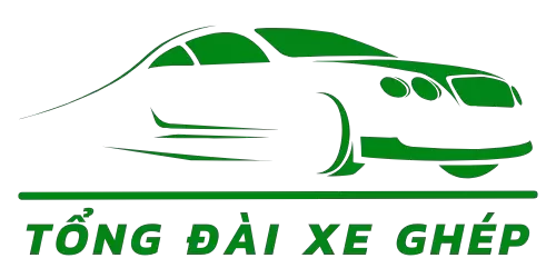 tongdaixeghep.net