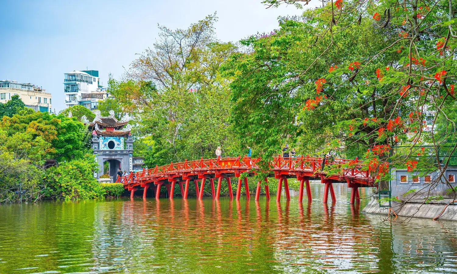 Trang Chủ